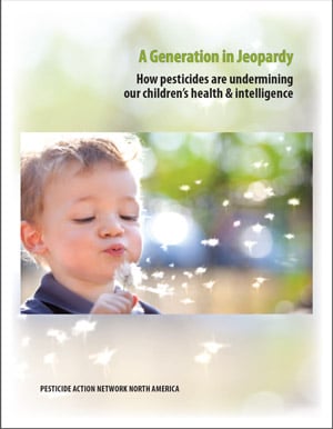 A-Generation-in-Jeopardy