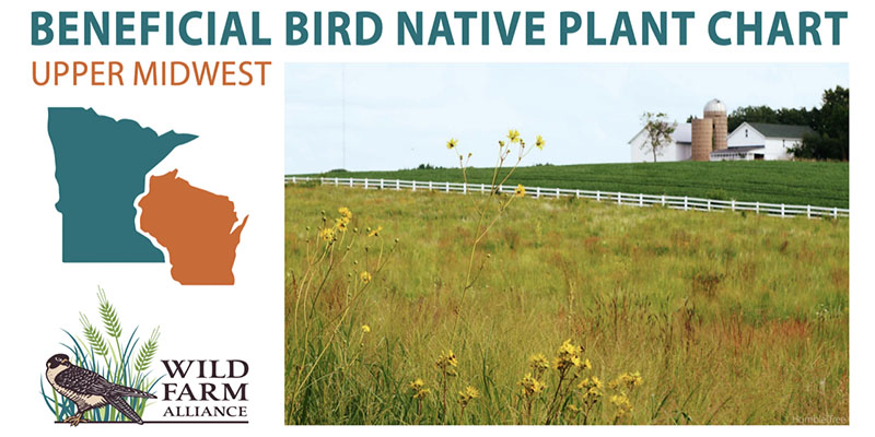 Beneficial Bird Native Plant Chart