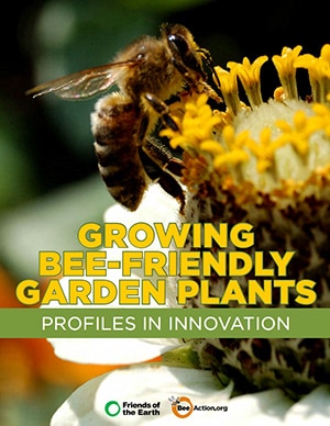 Growing-Bee-Friendly-Garden-Plants