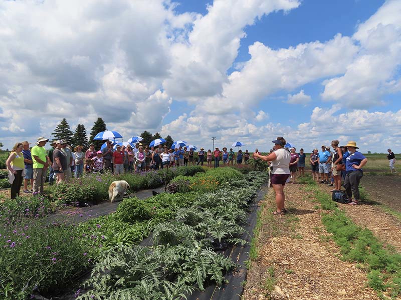 Farmer Meredith Nunnikhoven speaks to crowd who attended the field day at her farm, Barnswallow Flowers & Produce.