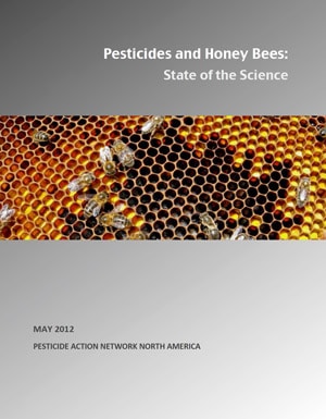 Pesticides-and-Honey-Bees