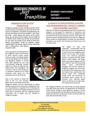 Principles-Just-Transition-cover