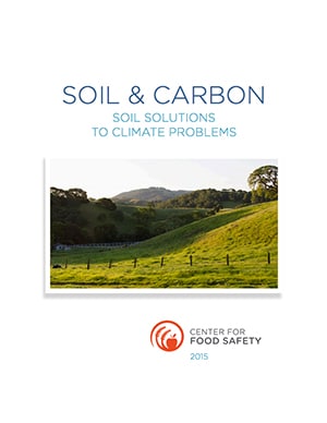 Soil-and-Carbon
