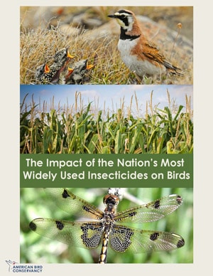 The-Impact-of-the-Nations-Most-Widely-Used-Insecticides-on-Birds
