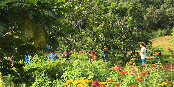 Breadfruit Agroforestry Students