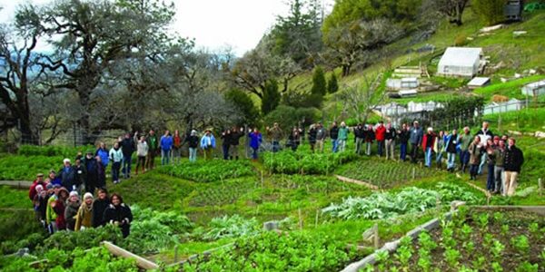 Ecology Action Workshop