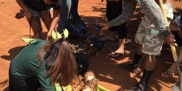 Molokai Taro Field Day
