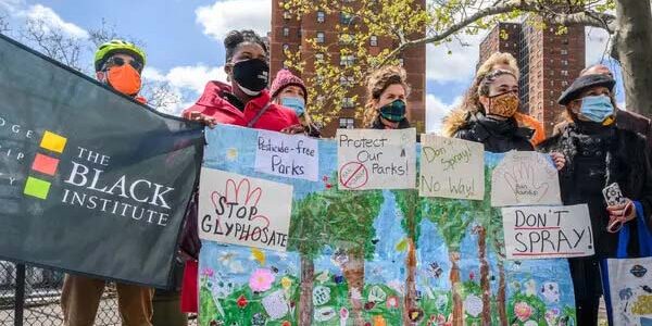 NYC Environmental Advocates