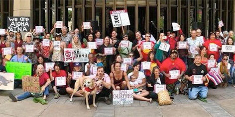 Heroes of SB3095