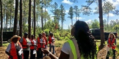 Teas and Trees Program