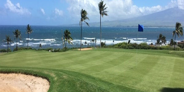 Waiehu green after renovation