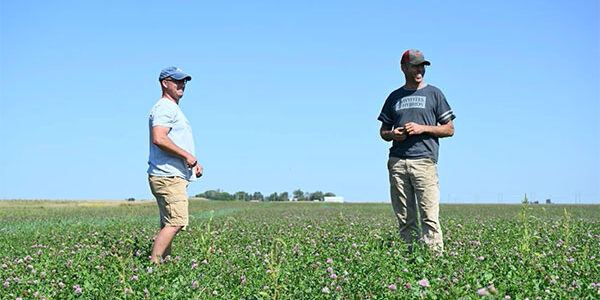 noah and caleb in red clover field
