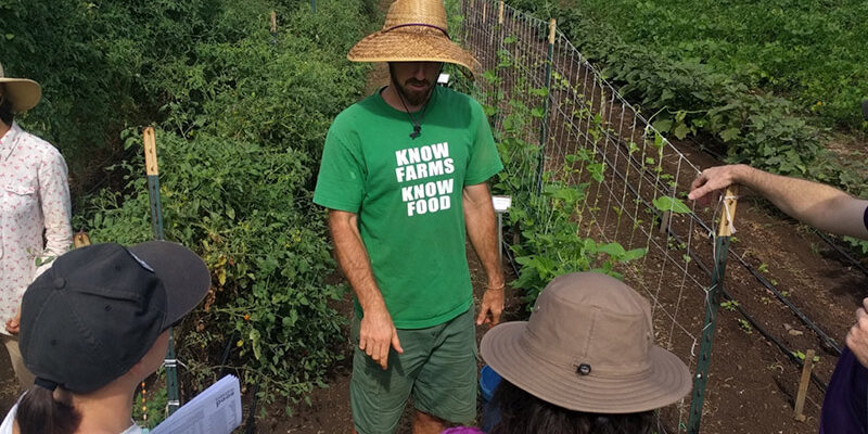 Hawaii Seed Festival