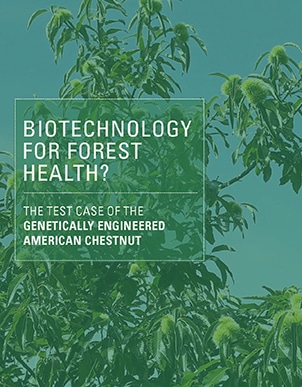 Biotechnology for Forest Health?