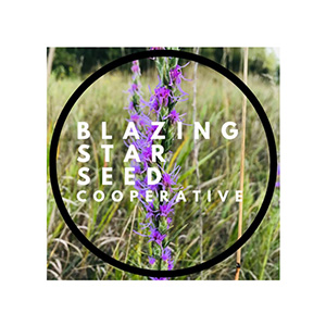 Blazing Star Seed Cooperative logo