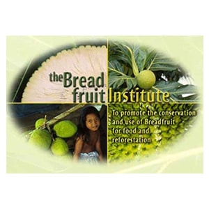 The Breadfruit Institute