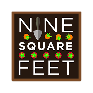 Nine Square Feet logo