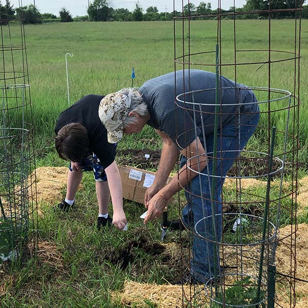 Planting Seeds
