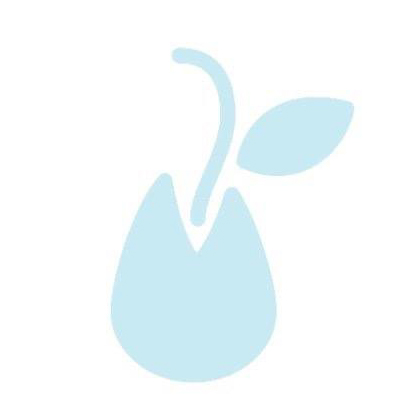 Seed Commons: A Community Wealth Cooperative